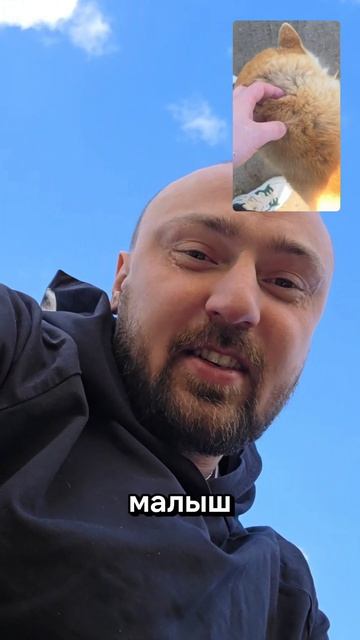 Пёс по прозвищу (кличке) 