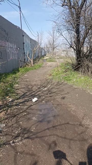 08031e3c6afd3d4e5ead7cab799ff00e