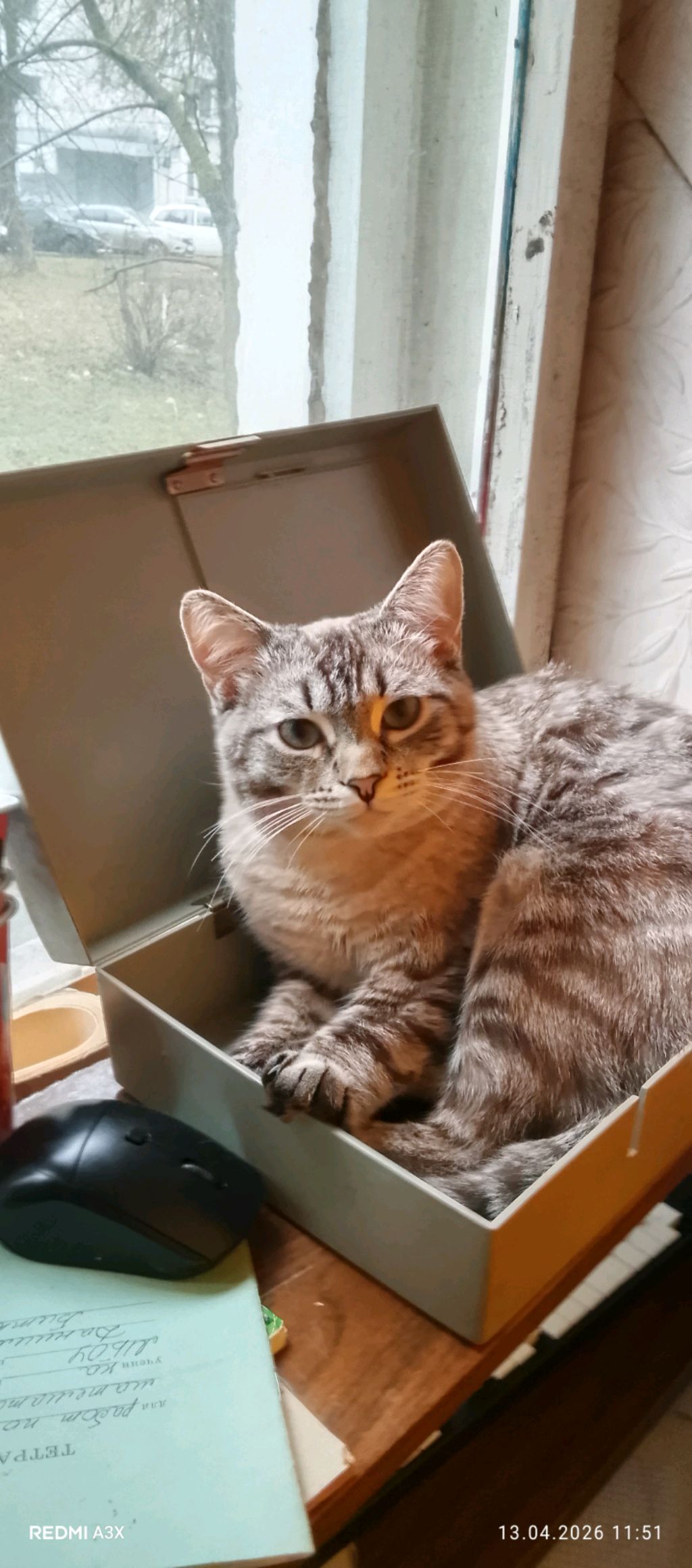 стрим в Майнкрафт сервере Lemax