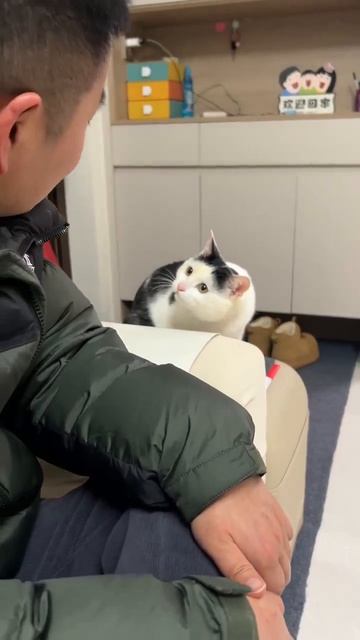 Прекрати передразнивать!