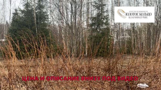 земельный участок 25 соток в деревне Пречистино (рядом с д. Верхние Дворики)