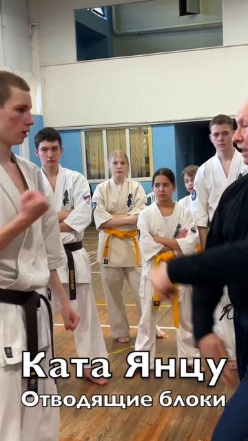 Кёкусинкай / Янцу / Применение отводящих блоков / Сихан Фомин В.П. (14.03.26) #48