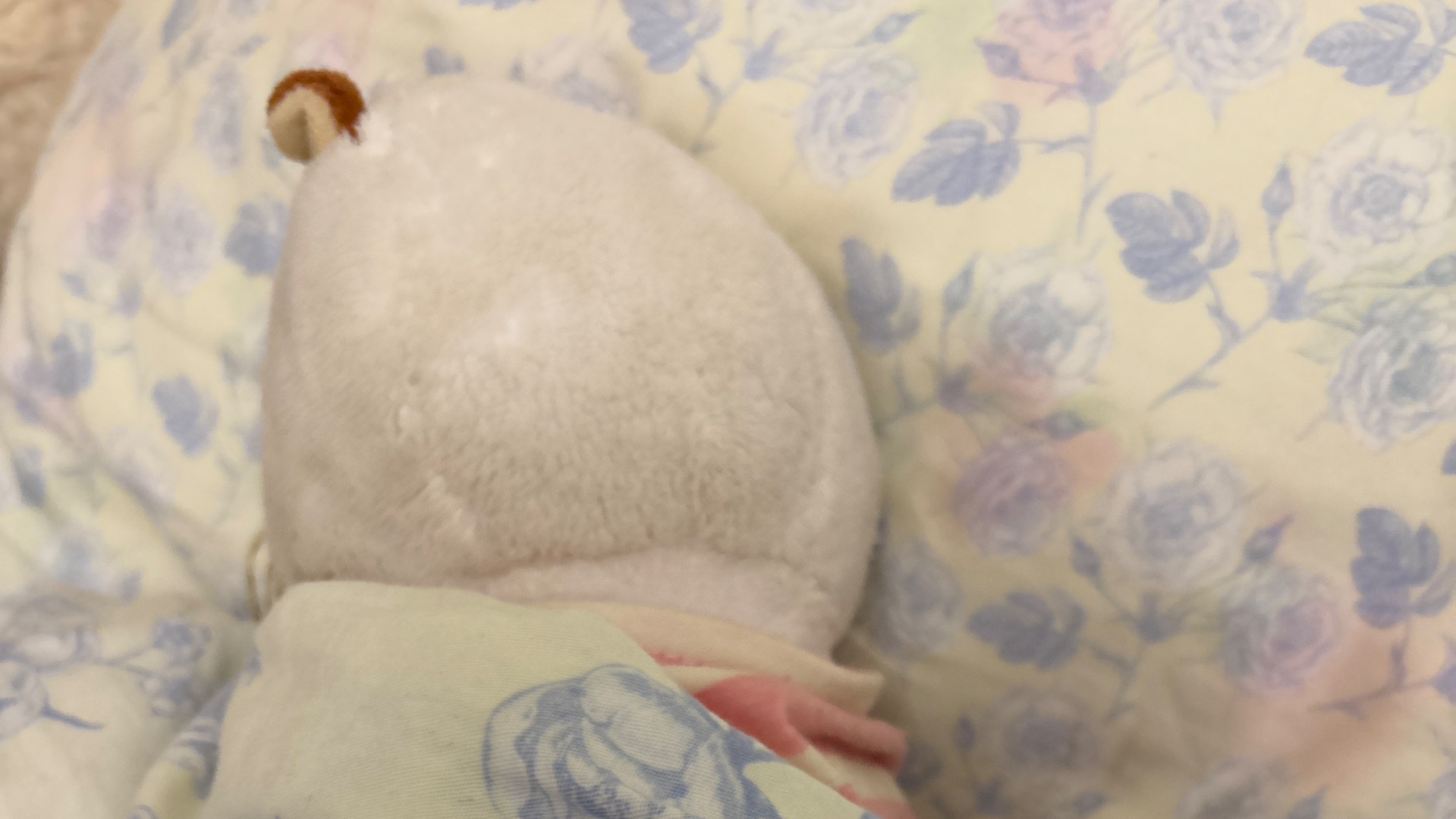 79796164151__DF77DF44-E9F8-47BB-BC90-837BE7E5018D