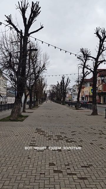 Россия, г.Тверь 15.04.26, 7:30 утра, +8°С Берегитесь девоньки альфонсов...