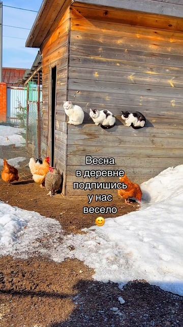 Весна😊