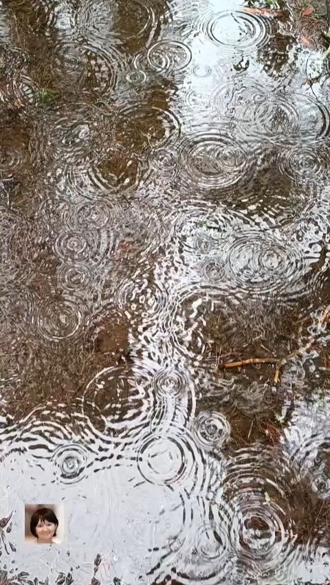 В дождливый день.