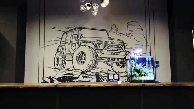 Обрезанное_Видео_20260415_213243