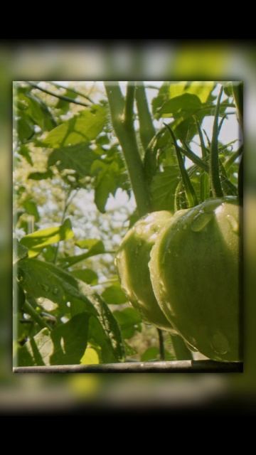 Аудио рассказ: «Мне некуда идти, я очень замерзла…» Невестка выгнала свекровь, но то, что случилось