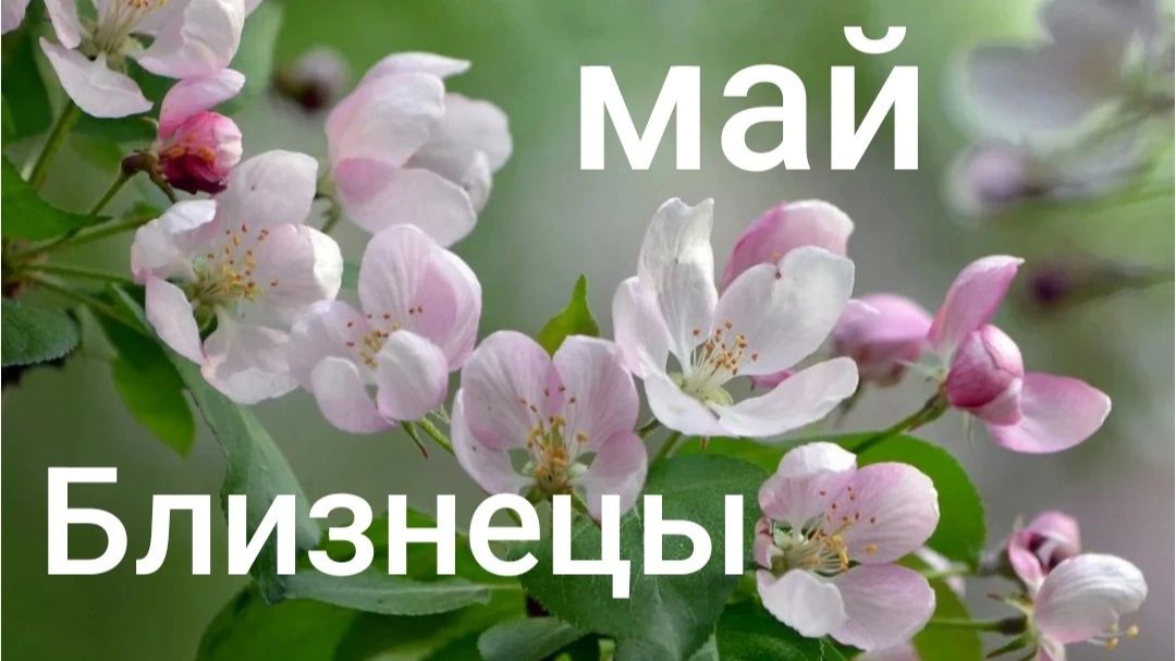 Таро расклад для Близнецов на май 2026 года