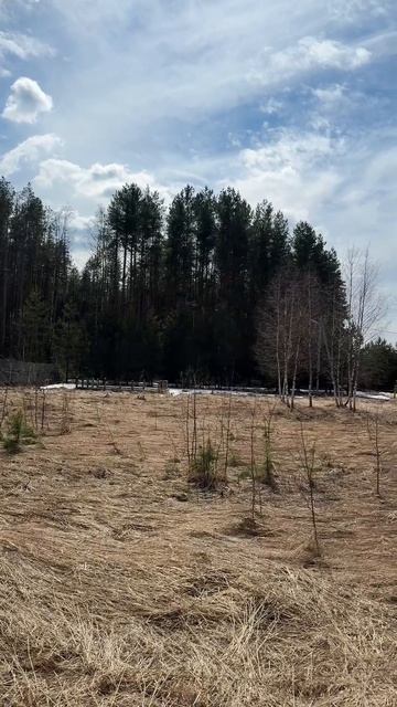 земельный участок 15 соток с фундаментом и с выходом в сосновый бор и к реке, д. Афонасово