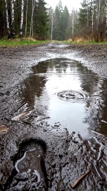 Когда тишина держится на одной ряби