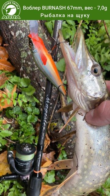 Воблер для рыбалки на щуку AQUA Burnash.
