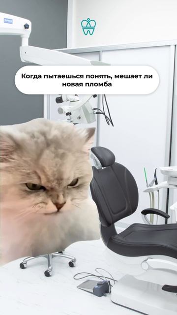 Новые пломбы #стоматологиядоминанта  #зубы #юмор #пломба
