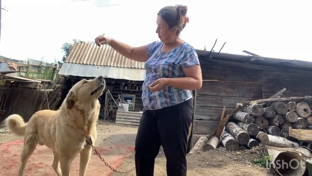 Схватка -поединок с Алабаем