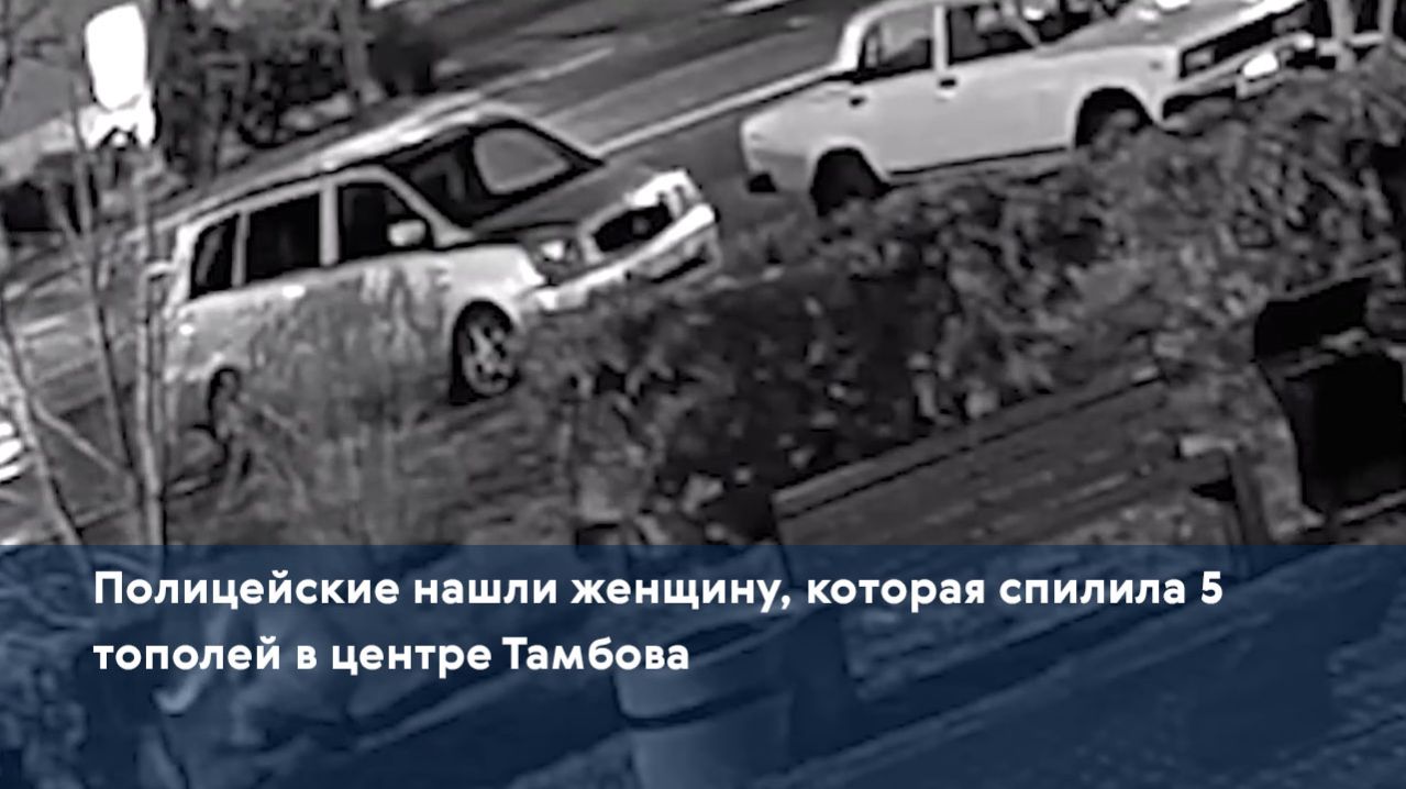 Полицейские нашли женщину, которая спилила 5 тополей в центре Тамбова
