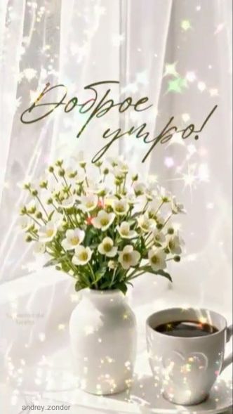 Доброе утро!) Чудесного дня!) #доброеутро
