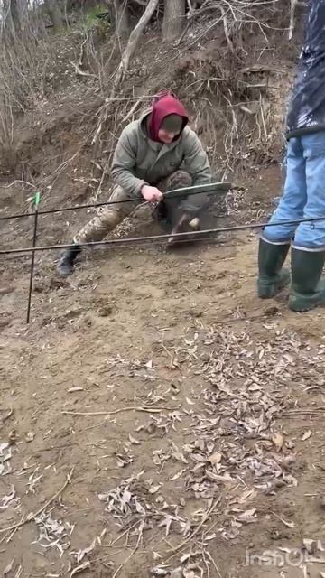 Апрельский сазан 🎣🎣🎣