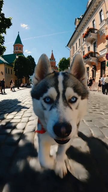 WALKING_TOUR_OF_MOSCOW_II_SHORTS#short