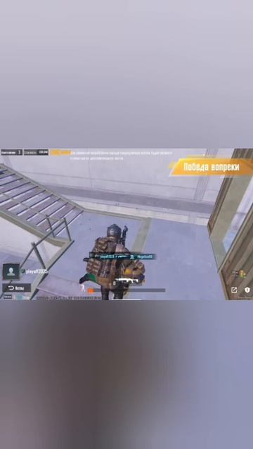 папг от семечко