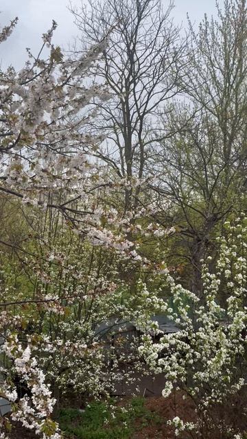 Вид из окна днём😍❤️#Северская