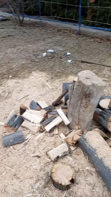 приглашаем вас на новый канал