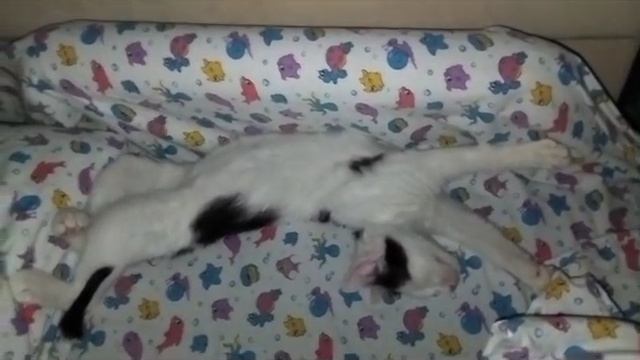 Сладких снов💋