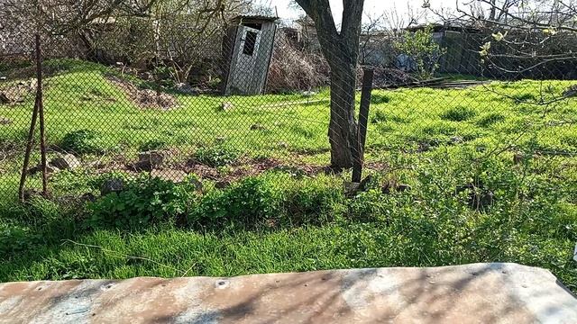 Показ метода борьбы с клещом тропи и вароа на некоторое время откладывается.