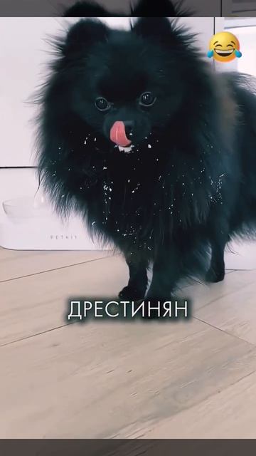 Вроде никого не забыли😄👍