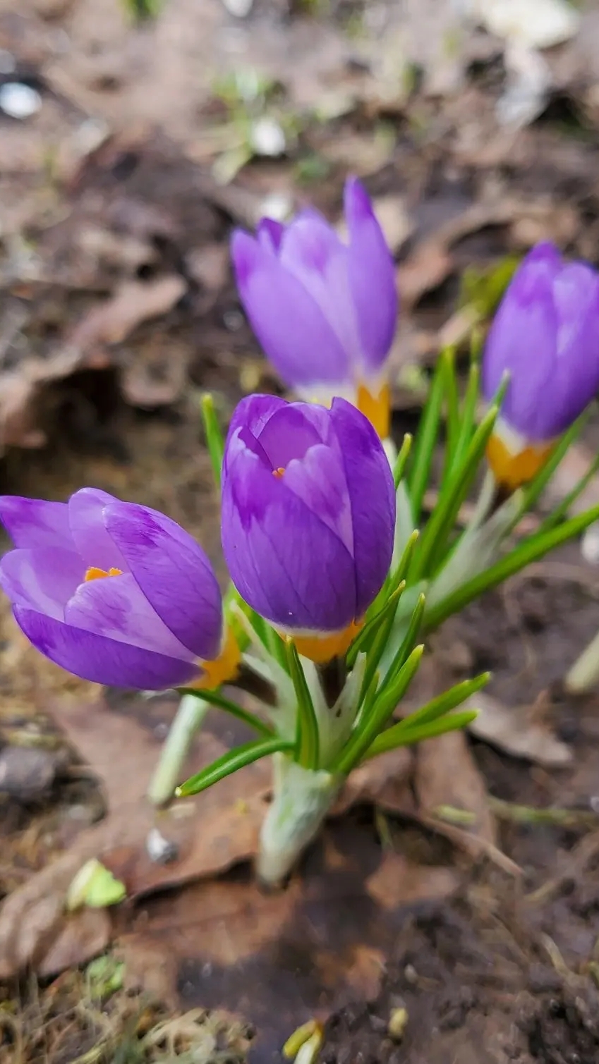 ИИСУСОВА МОЛИТВА