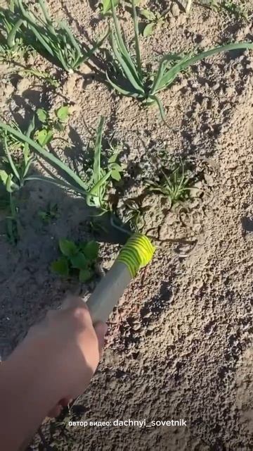 Лучше этого для огорода не найти!