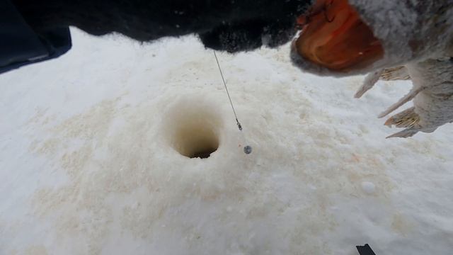 Рыбалка на живца