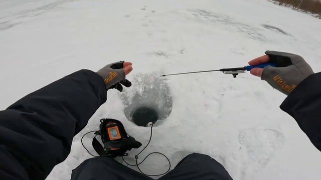 Под лунками кишит рыба! Ловлю её на безмотылку! Зимняя рыбалка со льда на мормышку.