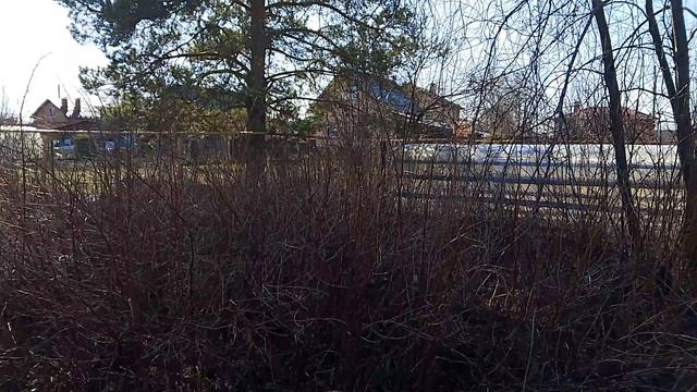 влог чем я занимаюсь ,и прогуляемся по огороду