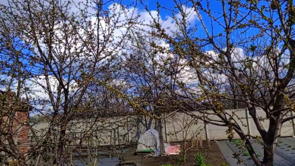 Вести со двора страшно глянуть , стыдно показать .