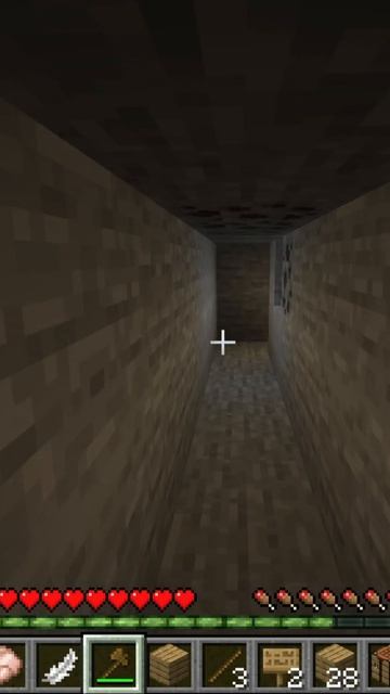 Меня приследуют хейтеры! SupNext