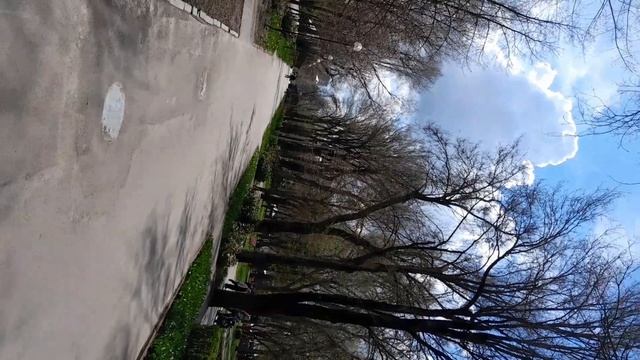 Пасха 🩷 Святослав впервые на самокате 🛴