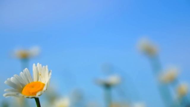 Я тебя в декрете кормил