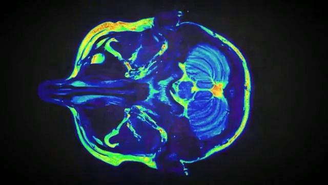 Гениальный учёный, которого ЦРУ хочет сохранить в тайне