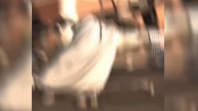 Эдит супермен