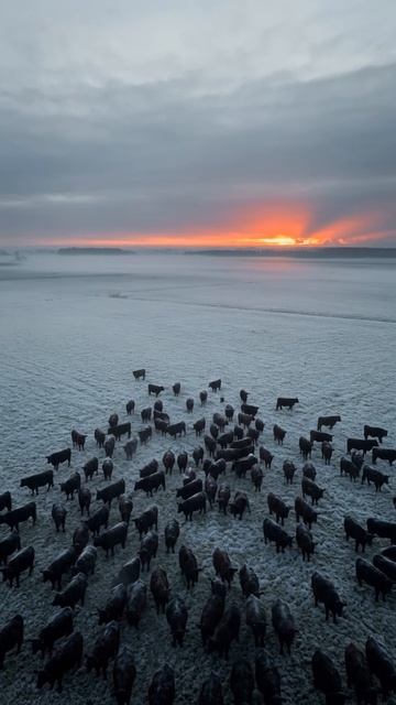 G63 x MANSORY | ПОЛНОСТЬЮ ПЕРЕШИТ САЛОН