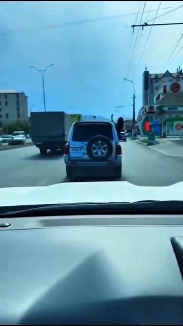 Дорожные приколы