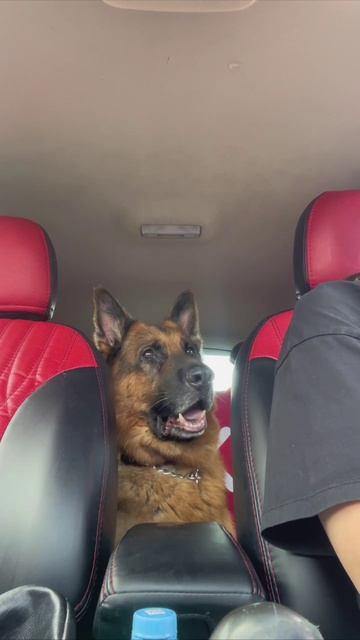 Наплавался 😁