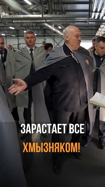 Лукашенко: 