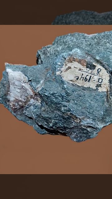 Коллекция музея-парка Каменный Лабиринт город Бийск. Минералы  
порфира,серпентинит а.1956 год