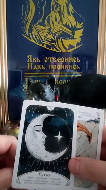 Примите подсказки из прошлого☝ новинка#татьянаясная#маккарты#