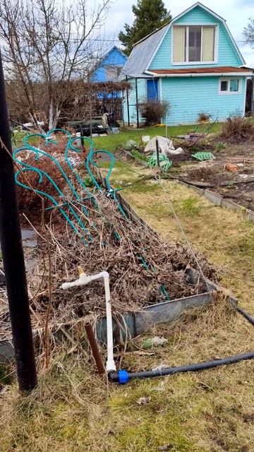 15.04.26. на даче.mp4