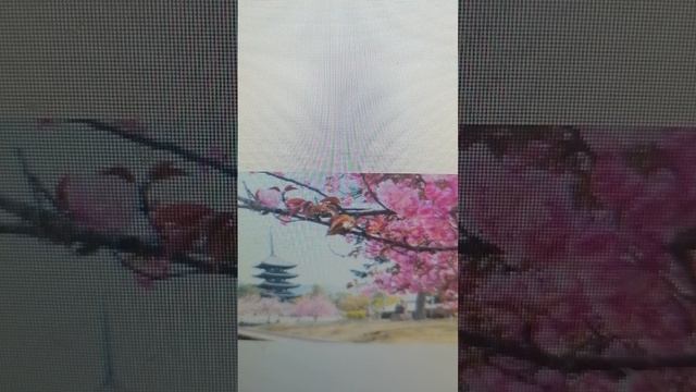 VID_20260308_135755.mp4