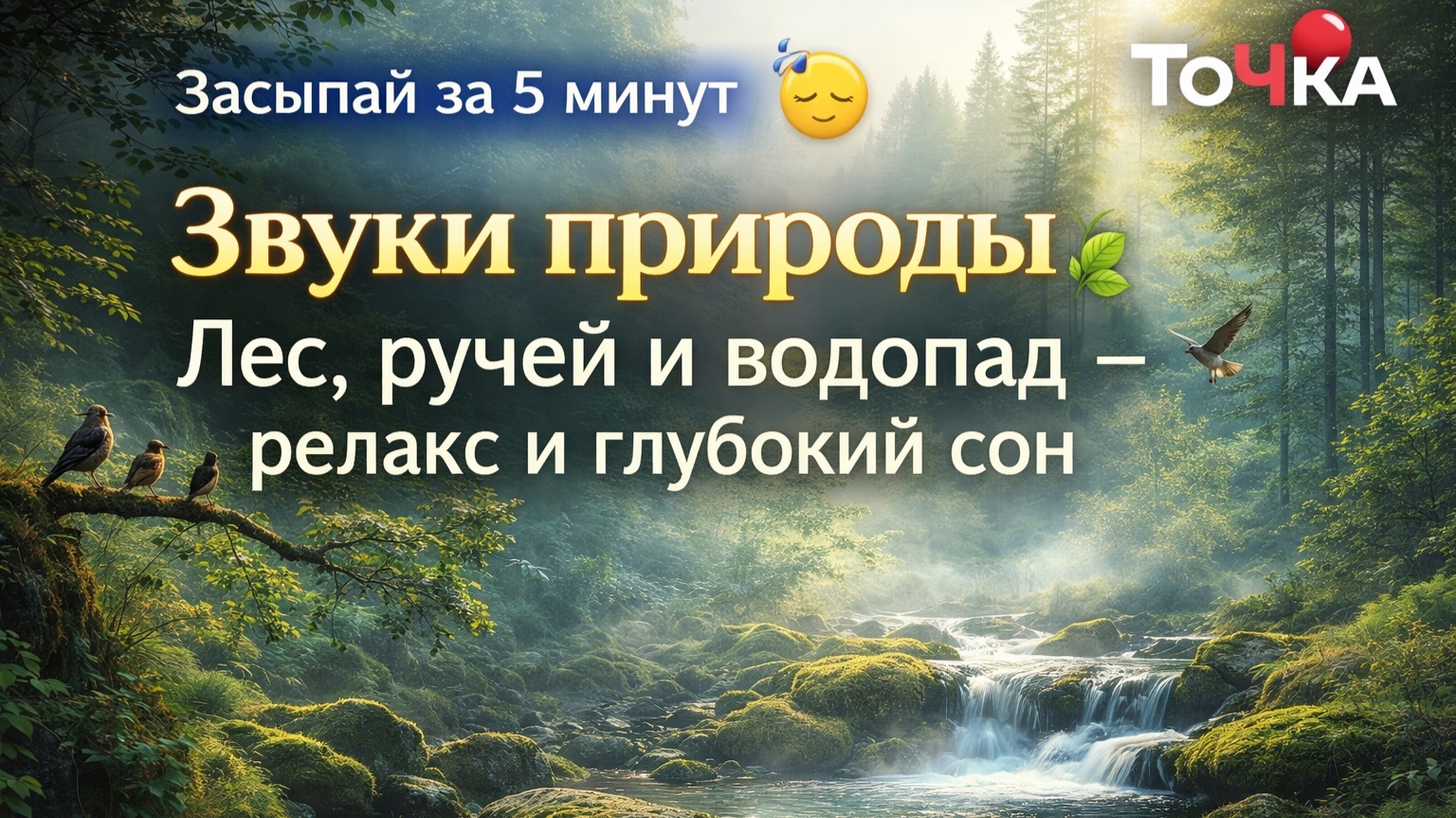 Музыка природы 🌿 Лес, ручей и птицы — слушать бесконечно