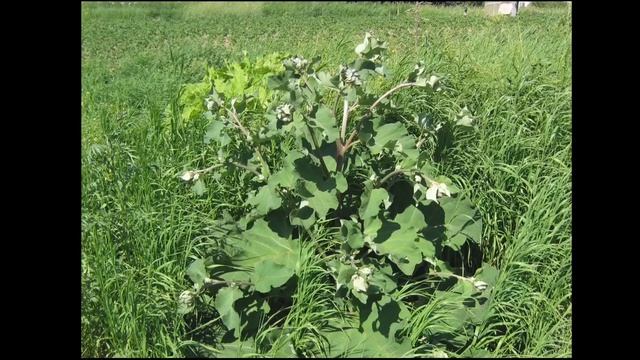 590898a4321e7f8af76b79e628b317c7