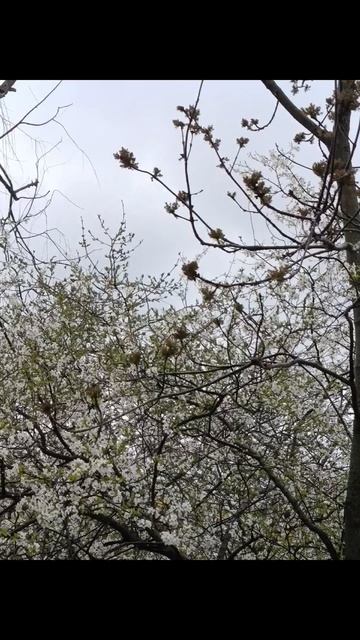 Мудрость тысячелетий!✨🙏💫Цитаты современников: